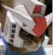 晚霞染红了寂寞