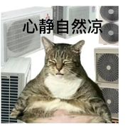 佛系不起来的佛系少女