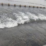浩浩汤汤
