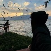凉城凉人心