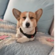 -休息只有快没有乐