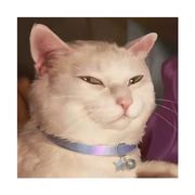 众秒的无玄弟弟