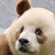 一院秋