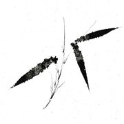 无言