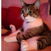 今宵满月盛放光华