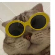 vh