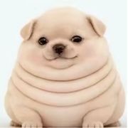 。。。