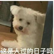 我爱玩伊洛纳