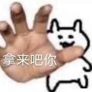风筝下的猫