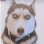 小糖水