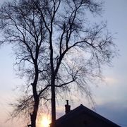 帅气的哥莫拉桐志