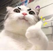 BBLL