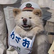 吢丕