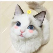 亡灵