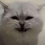 南风过境
