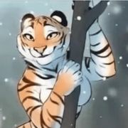 卜猫