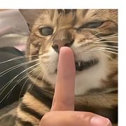 慢慢