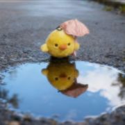 艾敬