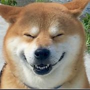 神说要有光丶