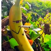 Mr.banana