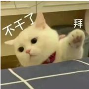 一下又一夏