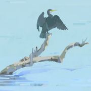 寒霜守夜人