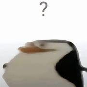 。。。