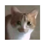 Neko