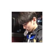 小狗呆呆