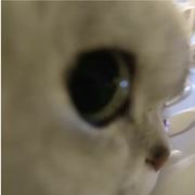 。。。