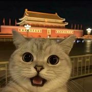 慕辰