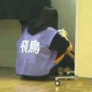 平平无奇斋藤鸟