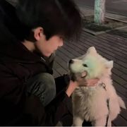 一米七八呆呆鱼