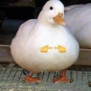 叶莫尘