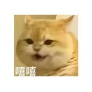 嗨嗨嗨
