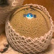 要臭掉的哈密瓜