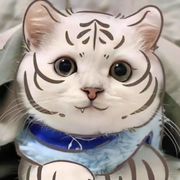 沥秋mm
