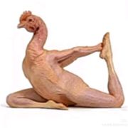 ，