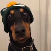 该群涉嫌违规已被解散.....