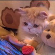阿殊