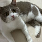 又菜又爱玩