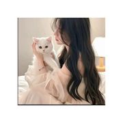 星愿