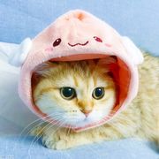 路过的喵灵灵喵灵