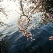 で透き通って何にでもなれそうで