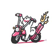 岛莓熊