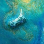 我的名字有13个字不信你数