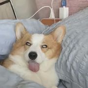 Hokoriii