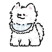 小猪芽