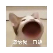 大橘没捞到饭
