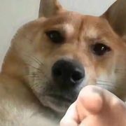 修勾